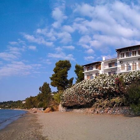 Aphrodite Skiathos เมกาลีอัมโมส ภายนอก รูปภาพ