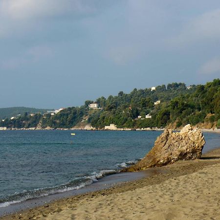 Aphrodite Skiathos เมกาลีอัมโมส ภายนอก รูปภาพ