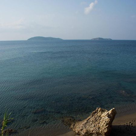 Aphrodite Skiathos เมกาลีอัมโมส ภายนอก รูปภาพ