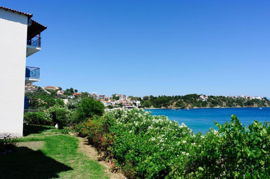 Aphrodite Skiathos เมกาลีอัมโมส ภายนอก รูปภาพ