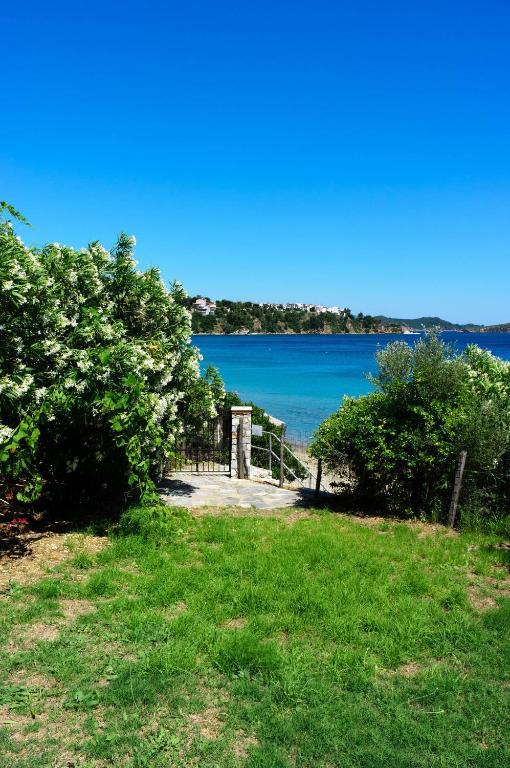 Aphrodite Skiathos เมกาลีอัมโมส ภายนอก รูปภาพ