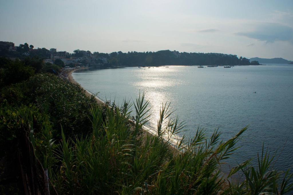 Aphrodite Skiathos เมกาลีอัมโมส ภายนอก รูปภาพ