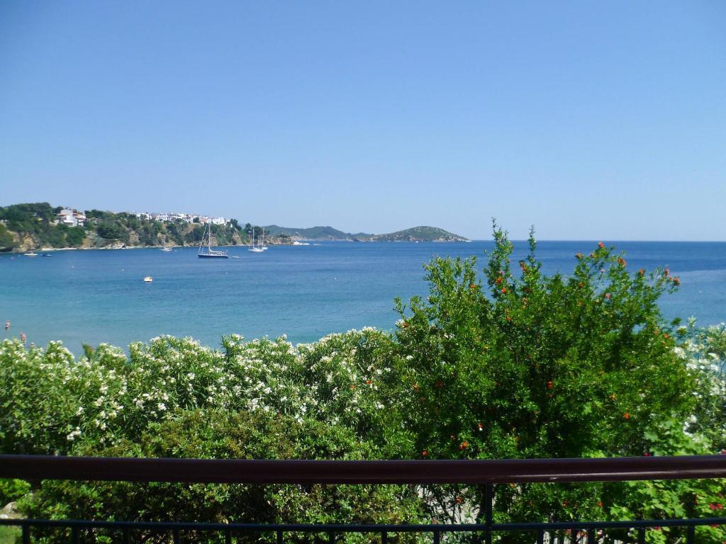 Aphrodite Skiathos เมกาลีอัมโมส ภายนอก รูปภาพ