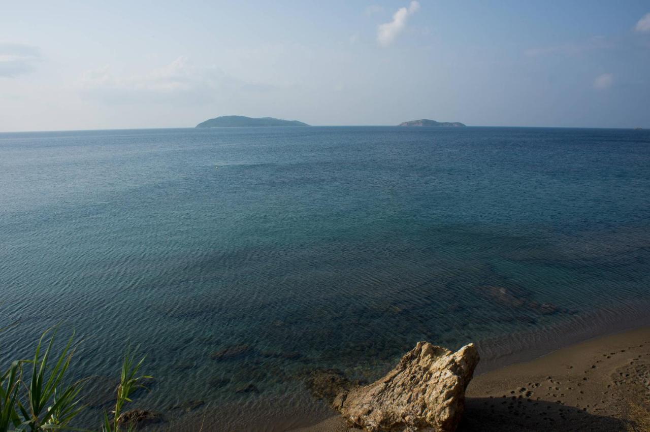 Aphrodite Skiathos เมกาลีอัมโมส ภายนอก รูปภาพ